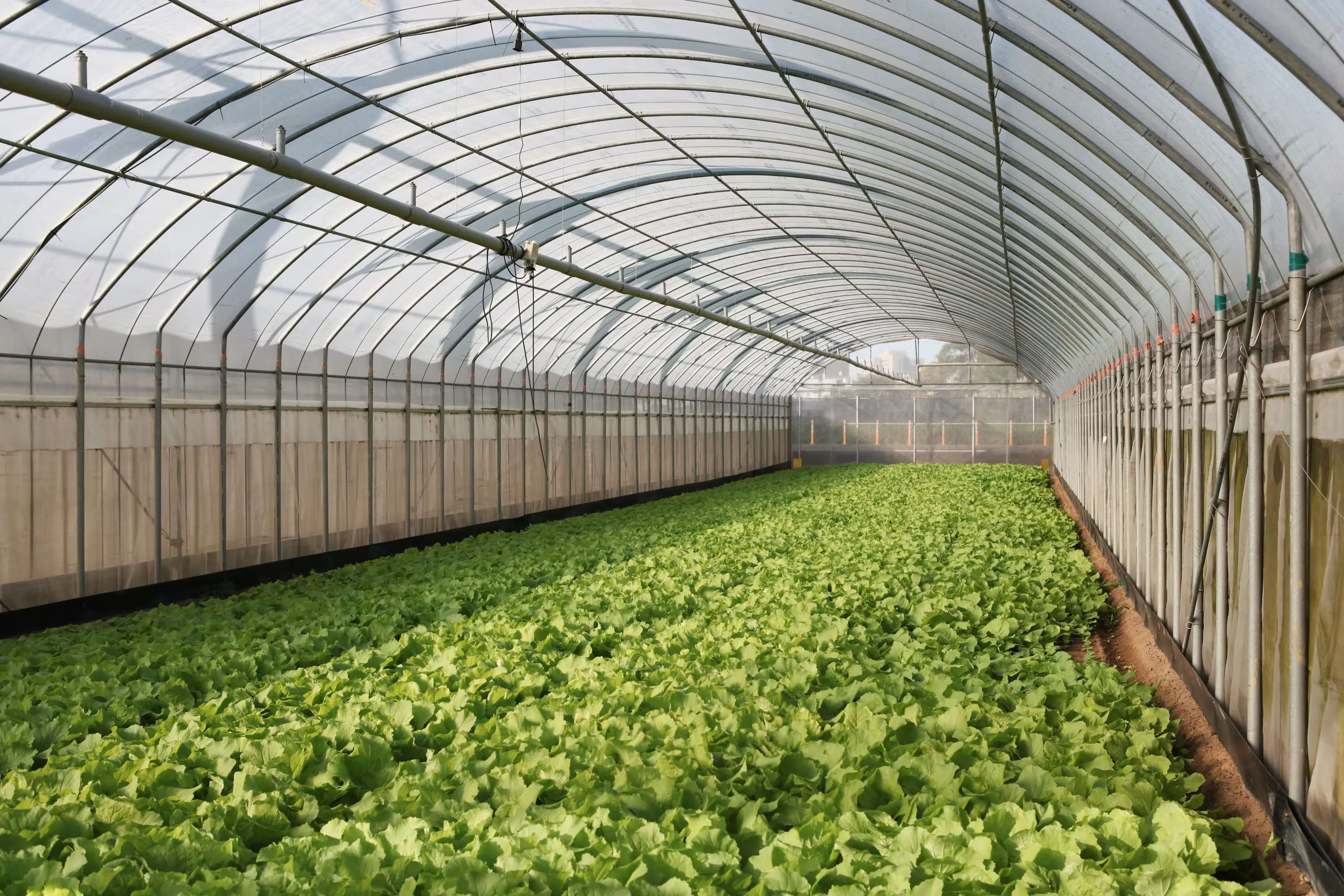 Greenhouses