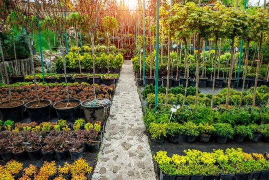 Nurseries